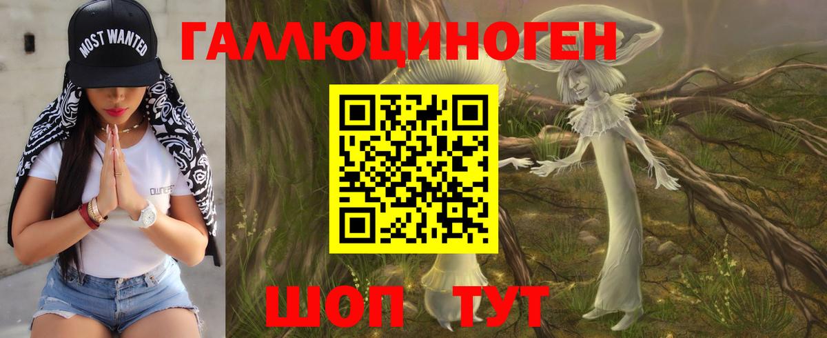 Галлюциногенные грибы Psilocybine cubensis Стрежевой