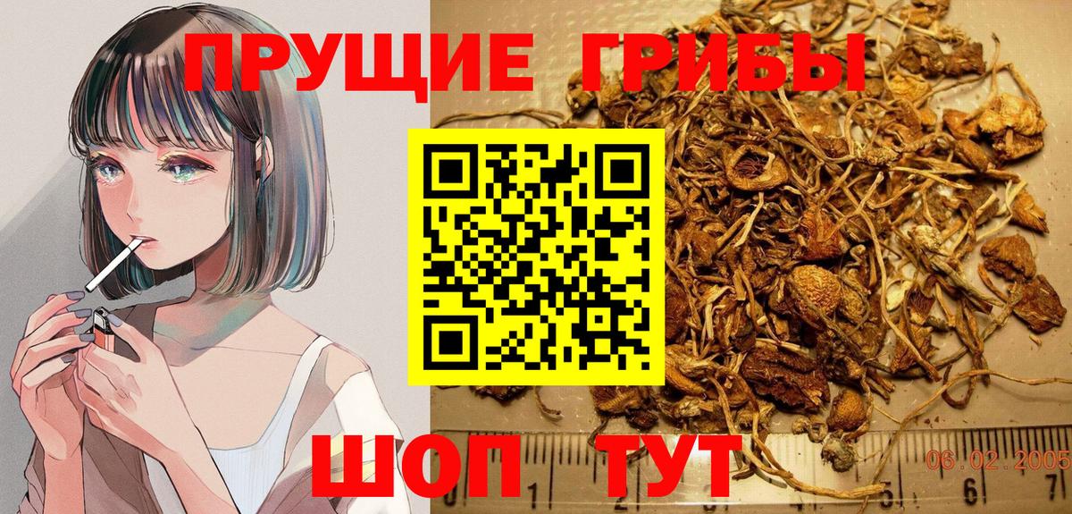 Псилоцибиновые грибы Cubensis  Вход с VPN  Стрежевой 